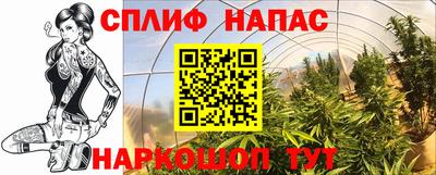 спайс Кинель