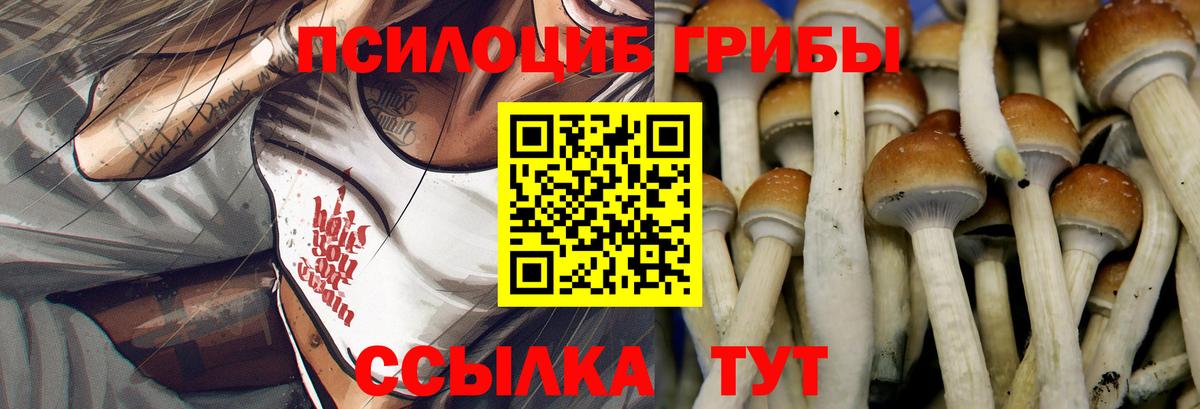 Псилоцибиновые грибы прущие грибы  Вход с VPN  Кимры 